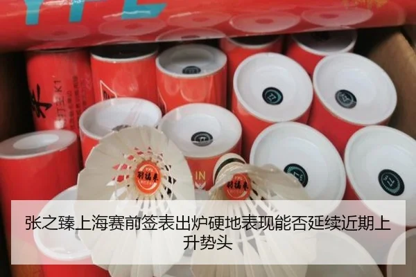 张之臻上海赛前签表出炉硬地表现能否延续近期上升势头